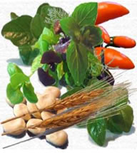 natural cancer fighting foods